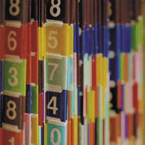 a shelf of color coded folders.